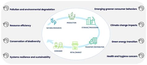 Constructed Wetlands as Nature-Based Solutions in the Post-COVID Agri ...