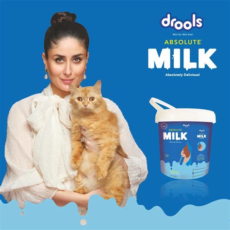 Drools Absolute Kitten Milk - 500g for Newborn to 8 Weeks old Kittens ...