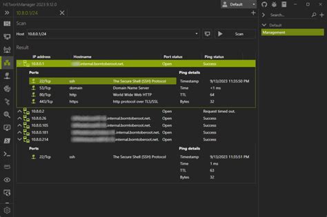 Image result for IP Scanner C# Code