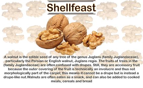 Shellfeast Walnut Kernels Light Half 1 Kg (Pack Of 2) In Food Grade Jar ...