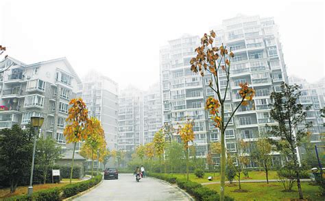 成都市北京经济适用房申请条件 | 家居知识