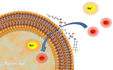 Untitled [fac.iitg.ac.in]