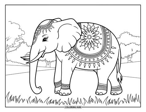 95+ Elephant Coloring Pages for Kids & Adults (Free Printable PDFs)
