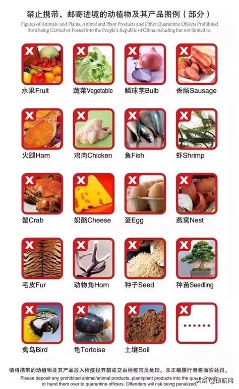 入境新加坡请注意!! 这些食品被禁止带入 | 狮城新闻 | 新加坡新闻