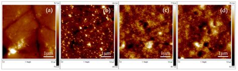 Spin Coating and Micro-Patterning Optimization of Composite Thin Films ...