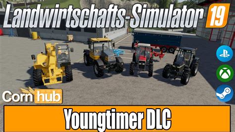 Image result for LS19 Youngtimer