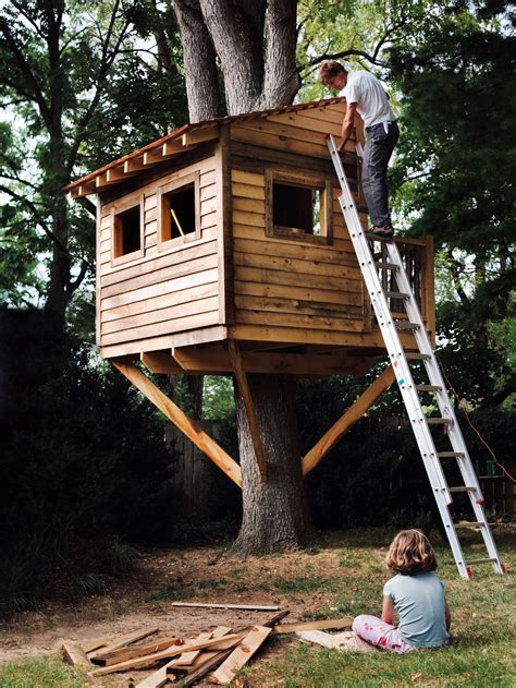 Simple Tree House DIY Model 的图像结果