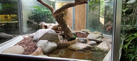Image result for African Python Habitat