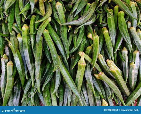 Lady Fingers or Okra Bunch in Vegetable Market Stock Photo - Image of ...