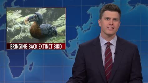 Dodo Python 的图像结果