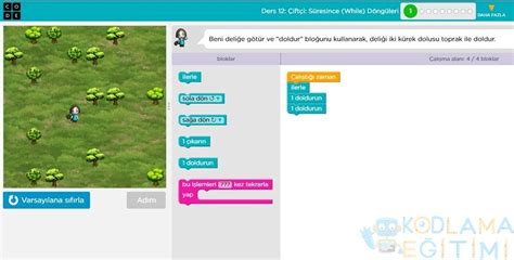 Code Kurse Code.org Lesson 12 的图像结果