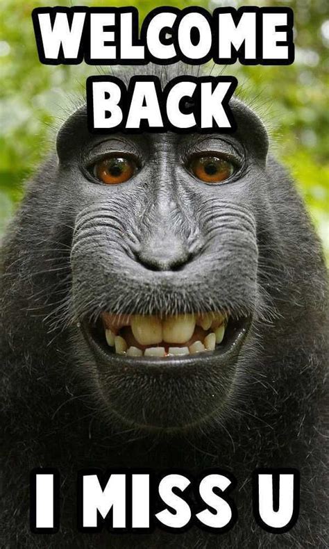 Welcome Back Meme Template | AT A GLANCE