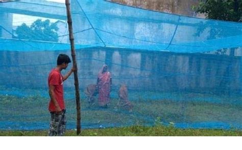Anaya Retailers Divayanshi Mosquito Net HDPE Animal Mosquito Nets for ...