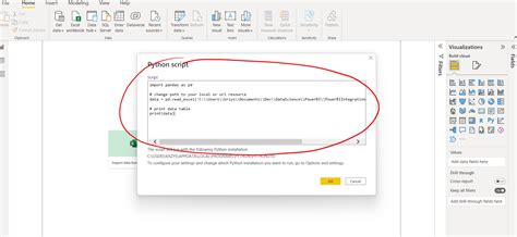 Power BI Python Script 的图像结果
