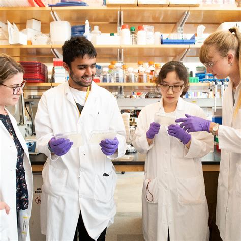 Tufts Research Experience Labs | University College