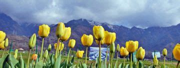 Exotic Kashmir 5 Night Tour Package | Srinagar, Pahalgam, Gulmarg Trip ...