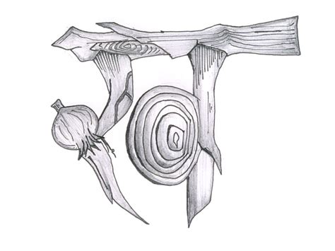 D'source Onion-Letterforms | Transformations | D'Source Digital Online ...