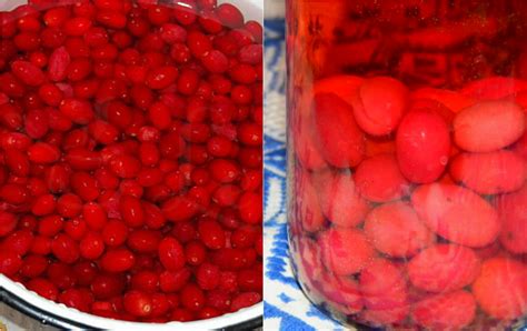 Image result for Compot Coarne Fructe