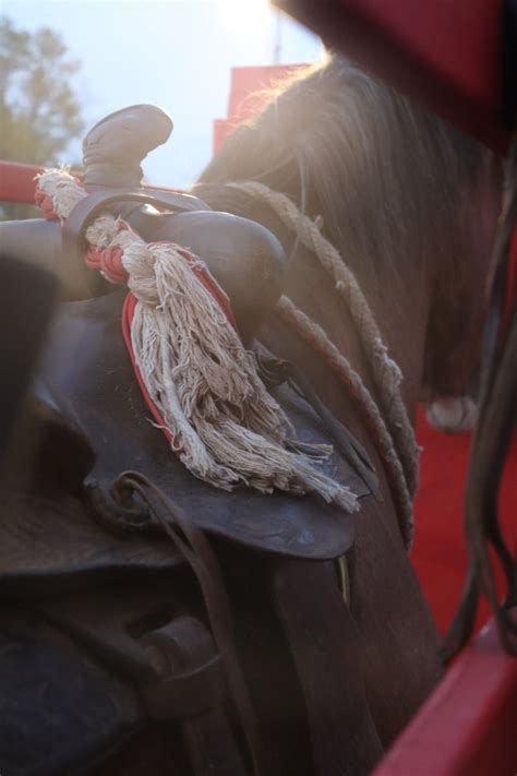 Image result for Loading Rodeo Stock