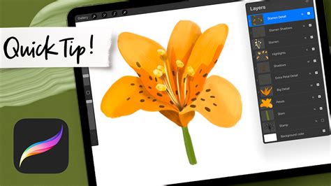 Image result for Procreate Masks