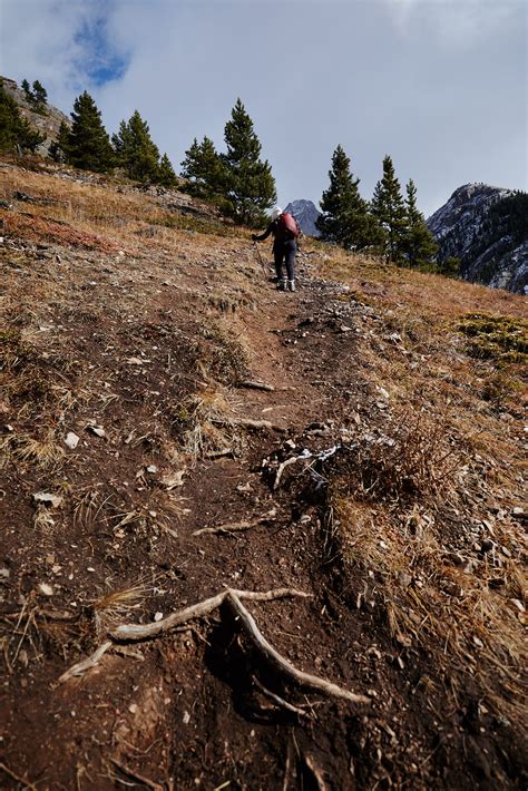 Grizzly Peak Trail — Hiking Photography