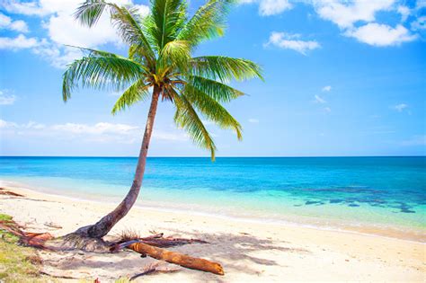 Image result for Beach Python Code