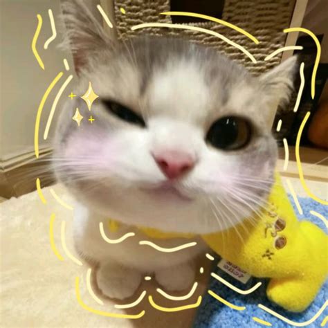 Image result for How Do You Declare a Variable in JavaScript