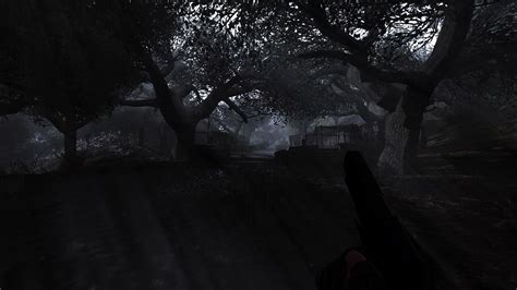 Image result for Stalker Anomaly Graphics Mod