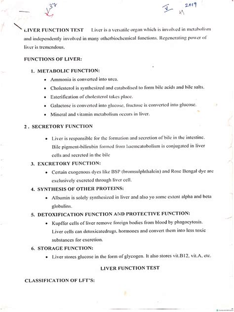 Image result for Liver Function Test Diagram