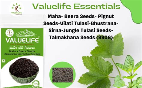 VALUE LIFE ?????? ????????? ?????????????????? (50G) - Maha-Beera Seeds ...