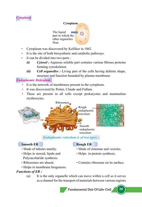 Image result for Class 9th Science Chapter 5 Cell Explanation