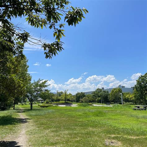 MIZUTORINOHAMA PARK (2026) All You Need to Know BEFORE You Go (with ...