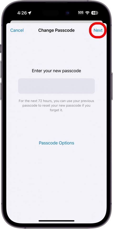 Image result for iPhone Passcode Options