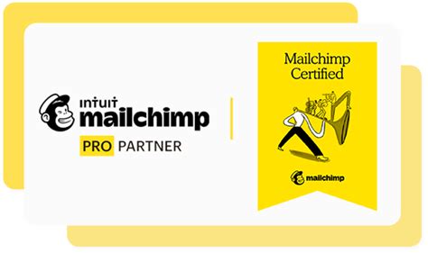 Image result for MailChimp Tutorial PDF