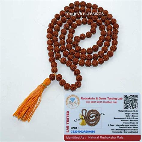 Trideva Blessings 5 Mukhi/Five Face Rudraksha Mala (6.0-6.5 mm ...