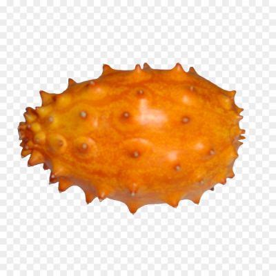 Kiwano PNG Photos 5KZTRNEA - Pngsource