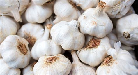 Is Eating Raw Garlic Good for You? - Thrive Market