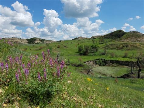 Forest Service announces job opportunities in Dakota Prairie Grasslands ...