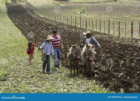 Mexican farmers editorial stock photo. Image of country - 76693763