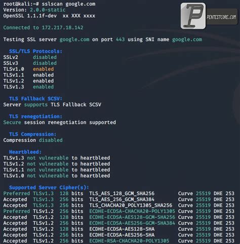 Image result for How to Use SSLScan