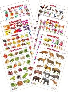 Spectrum Kid's 1st Learning Charts [S] : Set 1 (English Alphabets ...