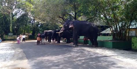 Places To Visit Near Kochi Airport - Hello Travel Buzz