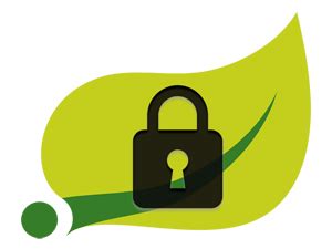 Image result for Spring Security Logo