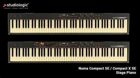 Image result for Numa Compact 2