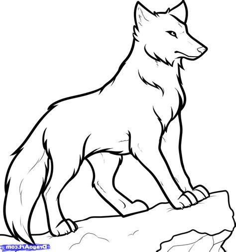 Wolf Drawing Easy at GetDrawings | Free download