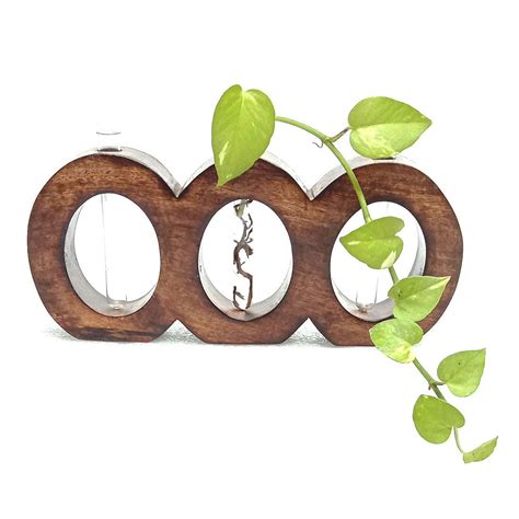 Dreams Smart Art Wooden Test Tube Table Planter Half Moon Follower vase ...