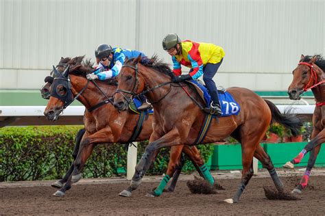 Wellington cruises in Sha Tin trial – Racing News – The Hong Kong ...