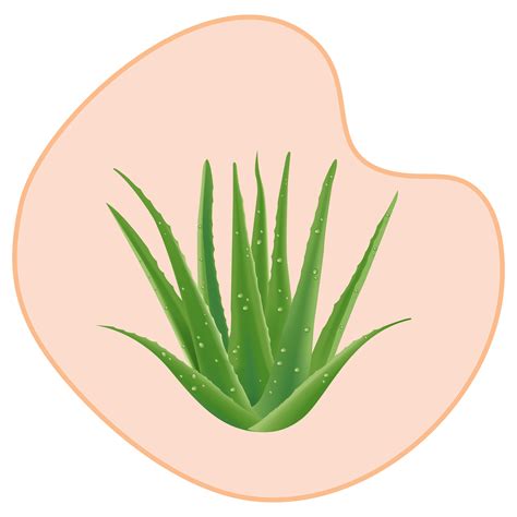 Foxy.in : Buy Sanfe Bikini Line Hair Removal Cream For Pain Free Hair ...