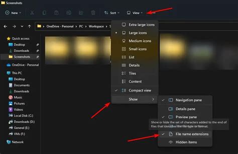 Image result for How to Show File Extensions in Windows 11