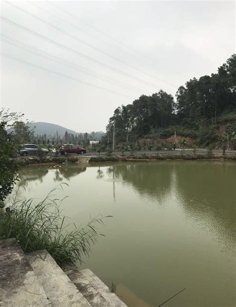 江门蓬江：河湖提质 打造生态城市新名片_南方网
